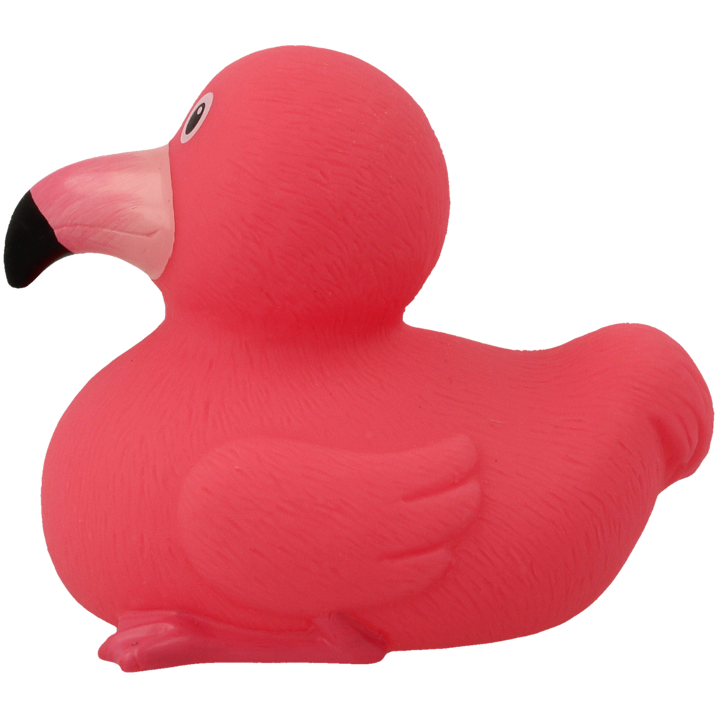 Pato flamenco