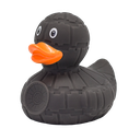 Pato Estrella Gris