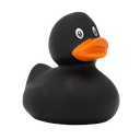 Pato negro