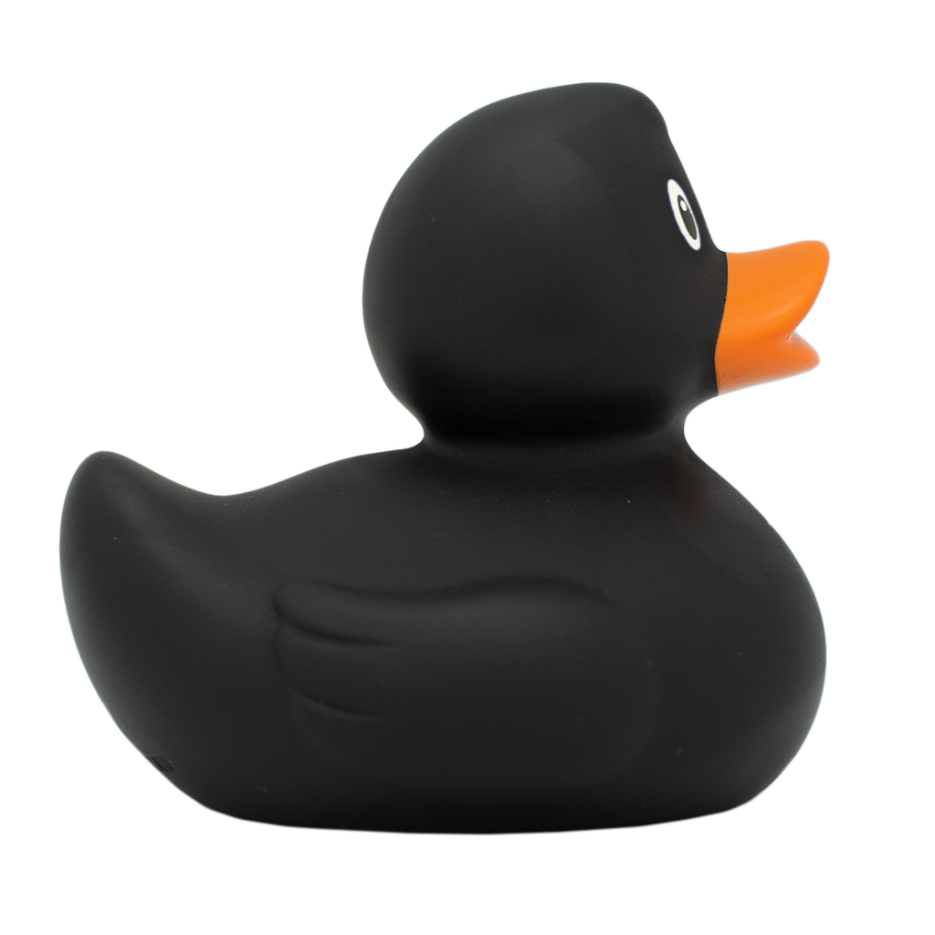 Pato negro
