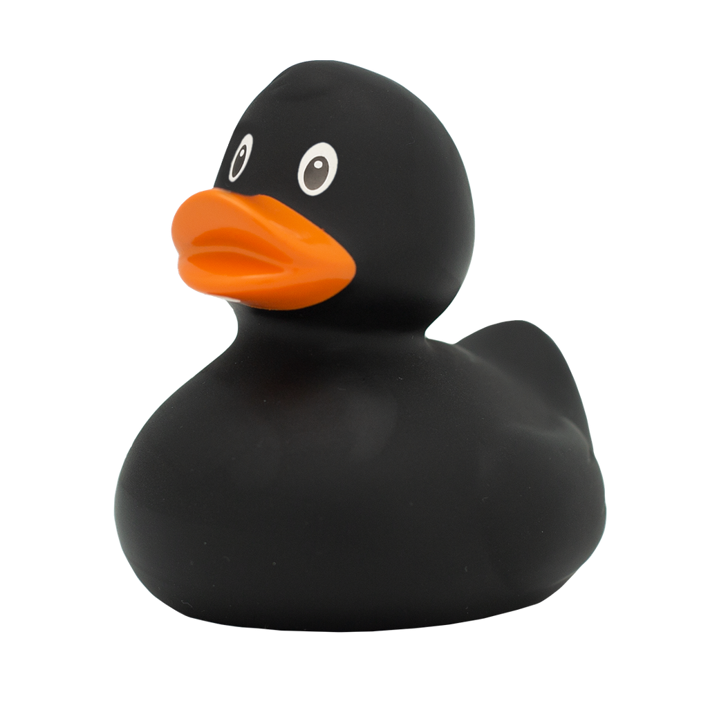 Pato negro