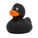 Pato negro