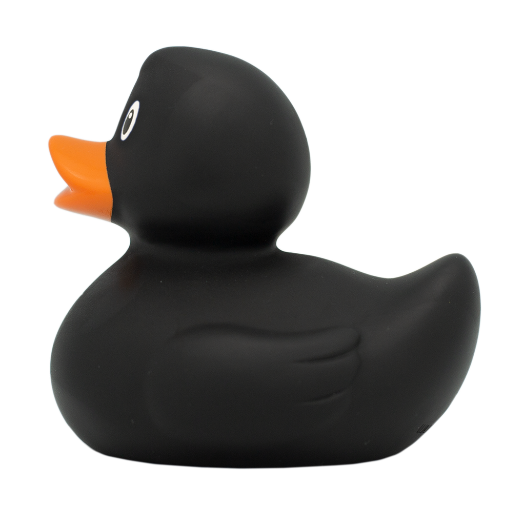 Pato negro