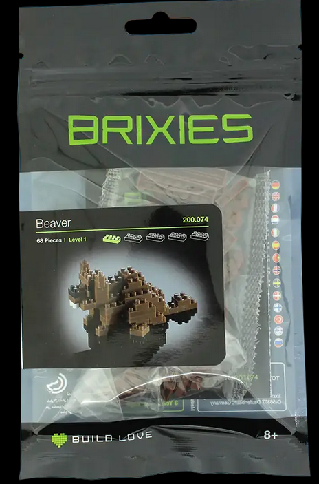 Brixies - Castor