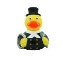 Pato deshollinador