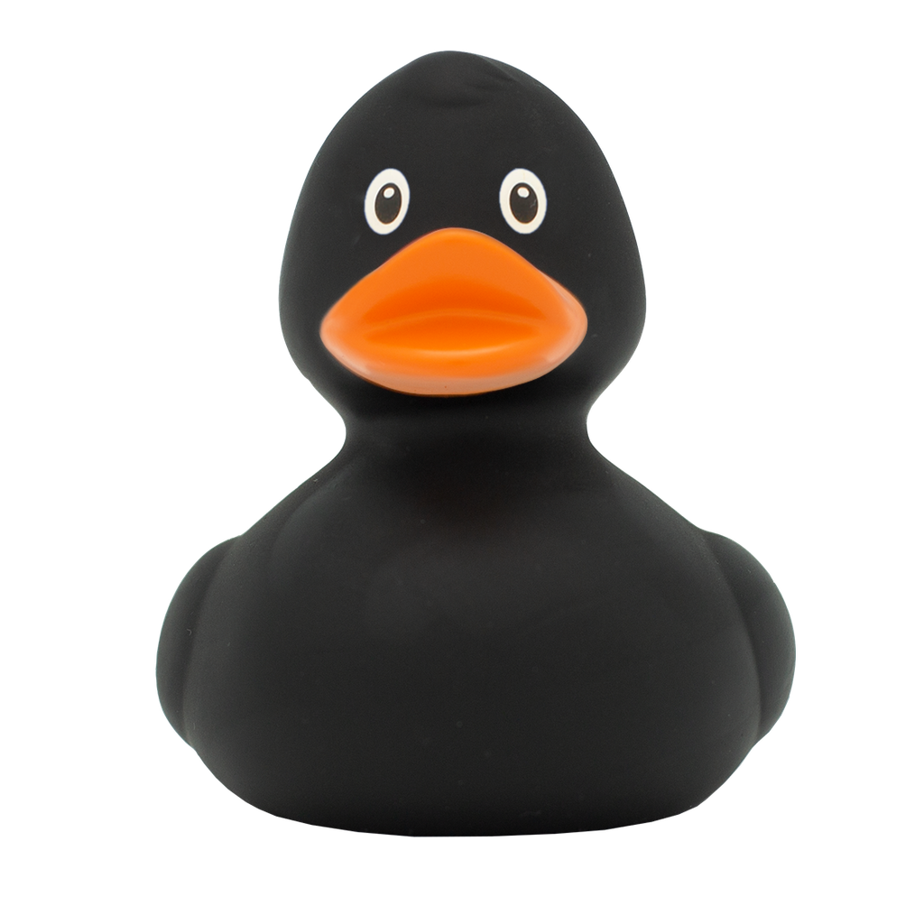 Pato negro