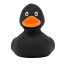 Pato negro