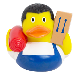 [LI2240] Pato de mudanzas