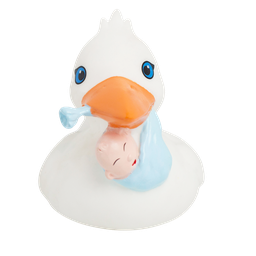 [LI2242] Pato cigüeña con bebé
