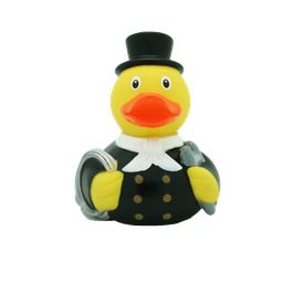 [LI1813] Pato deshollinador