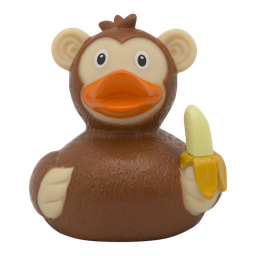 [LI2117] Pato mono