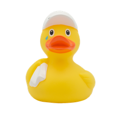 [LI2207] Pato bye bye